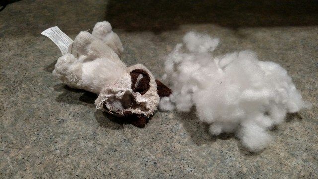 wp-1445443239541 image